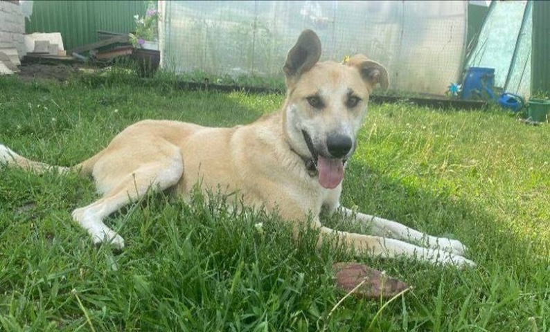 � ������������� ������ ����� ���� ��� ����� ������ ����� �������-��������� - ��������� ����