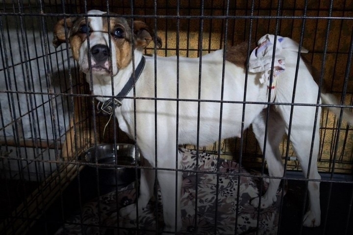 ������! ������, ������� ����� ������ � ����������, ����� ������ �� ������� - ��������� ����