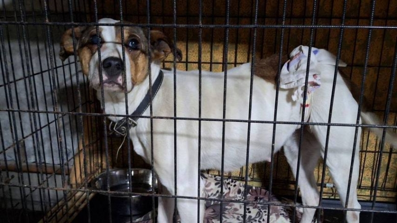 Ÿ ����� ������ � ������� �� ����: ������� �������� ������, ������� ���� ��� - ��������� ����