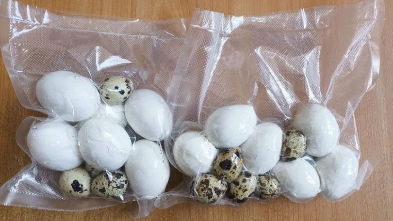 ������� ������ ����������� � �������� ������� ������� ��� � ����-1 ������������� - ��������� ����