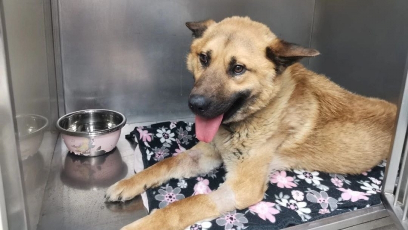 ���� ���������� � ������������� ������ ������: ����� �������� �� ��� ������ - ��������� ����